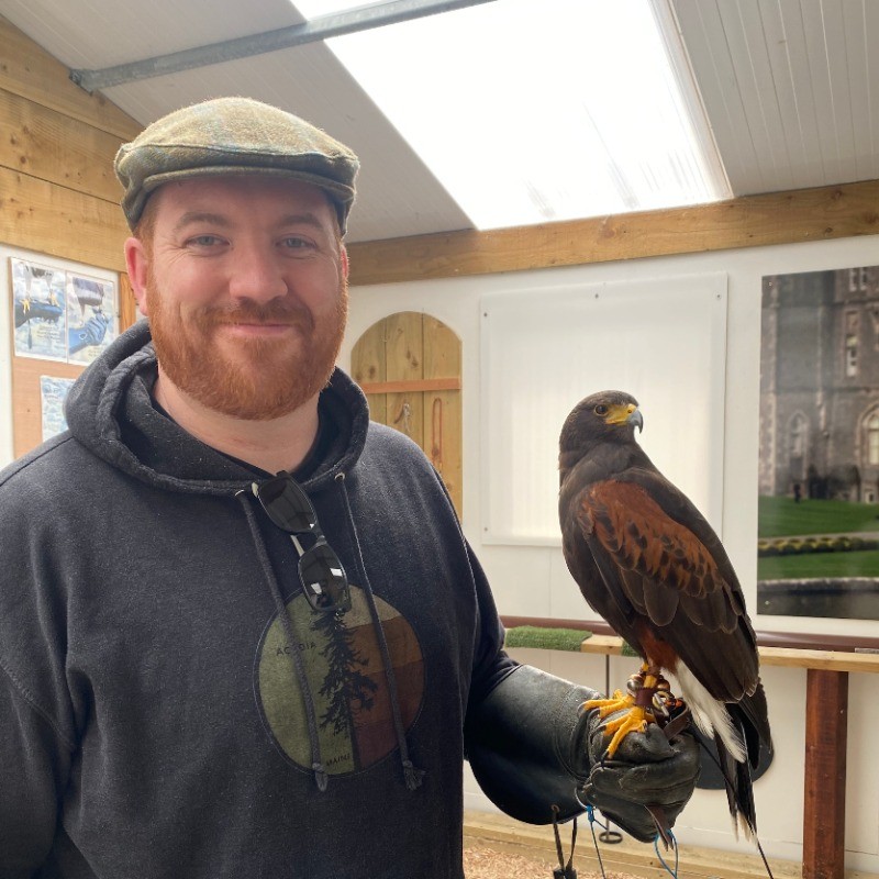 Shawn Moreau holding a Harris's hawk on a falconry visit in Ireland